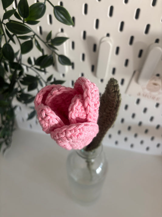 Tulipe éternelle 🌷