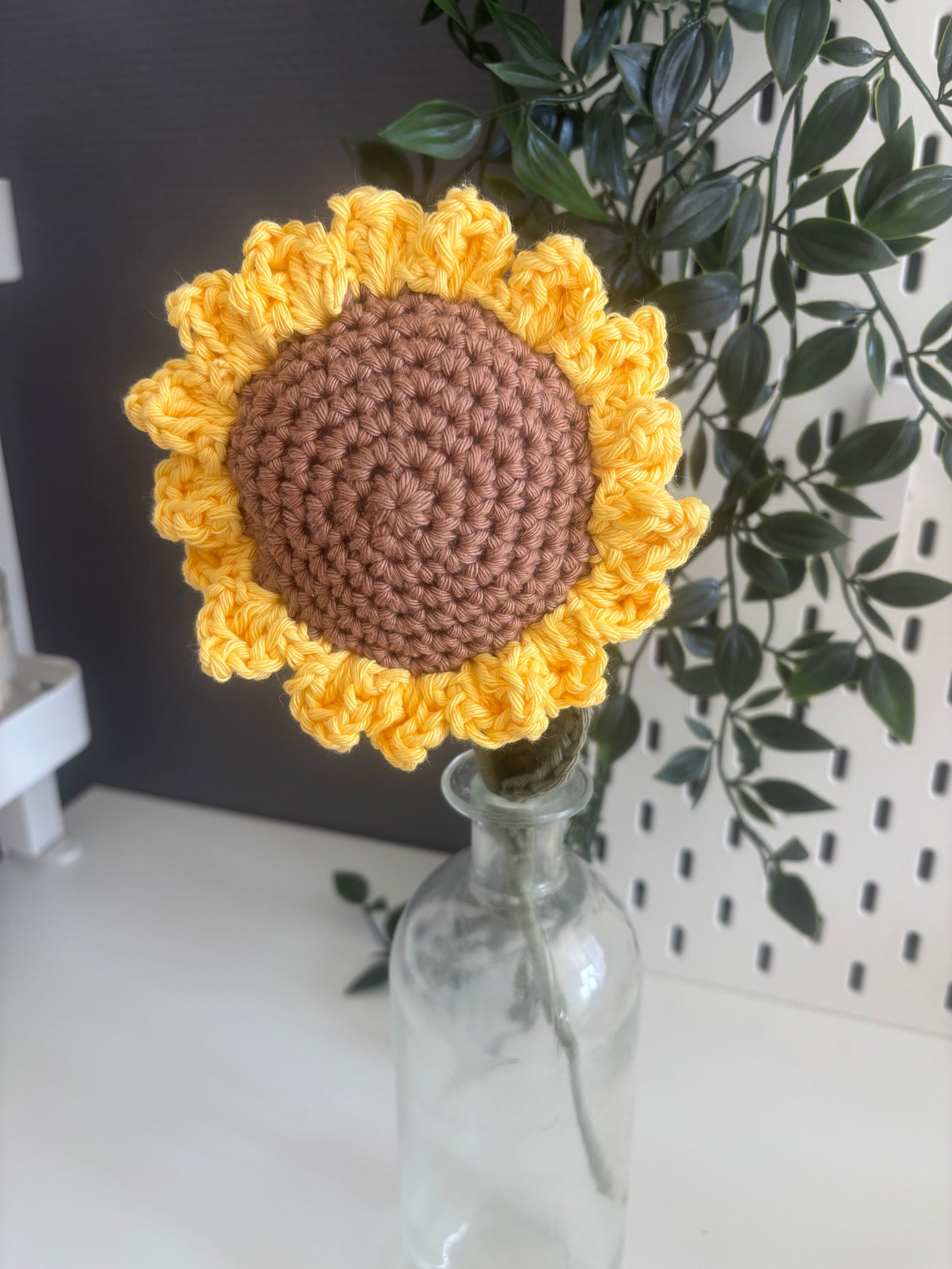 Tournesol éternelle - à l’unité