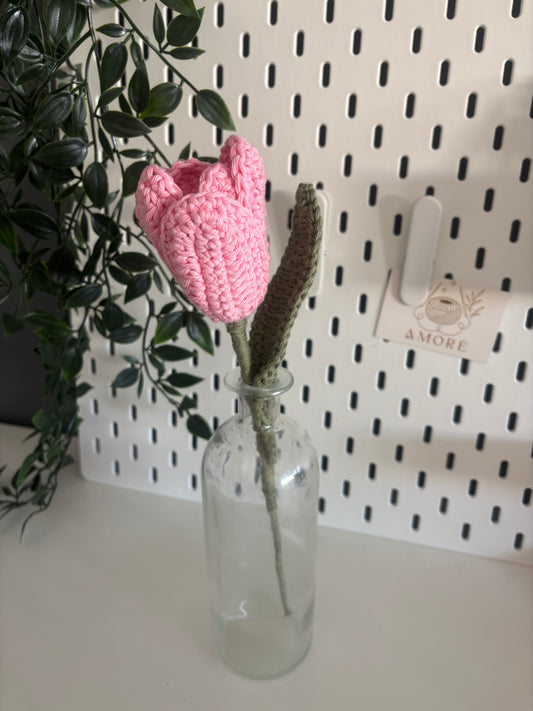 Tulipe éternelle 🌷