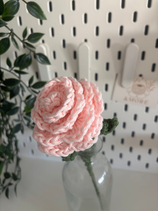 Rose éternelle 🌸