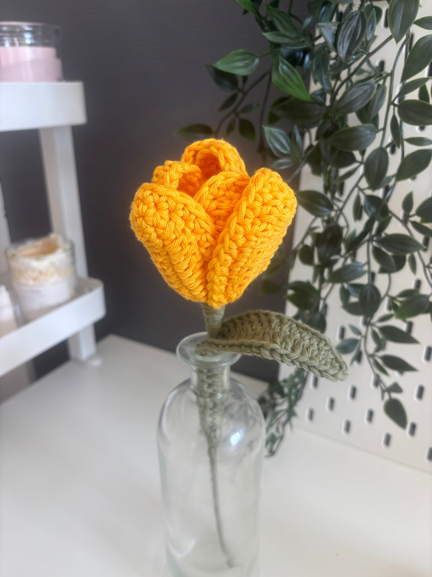Tulipe éternelle 🌷- à l’unité