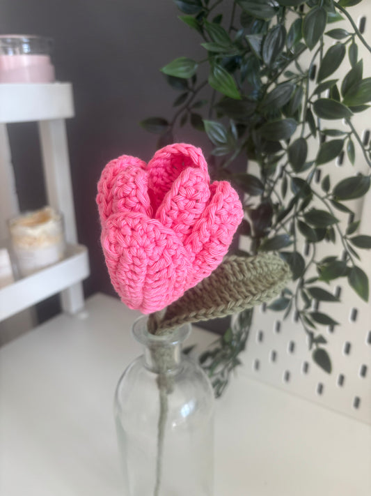 Tulipe éternelle 🌷- à l’unité