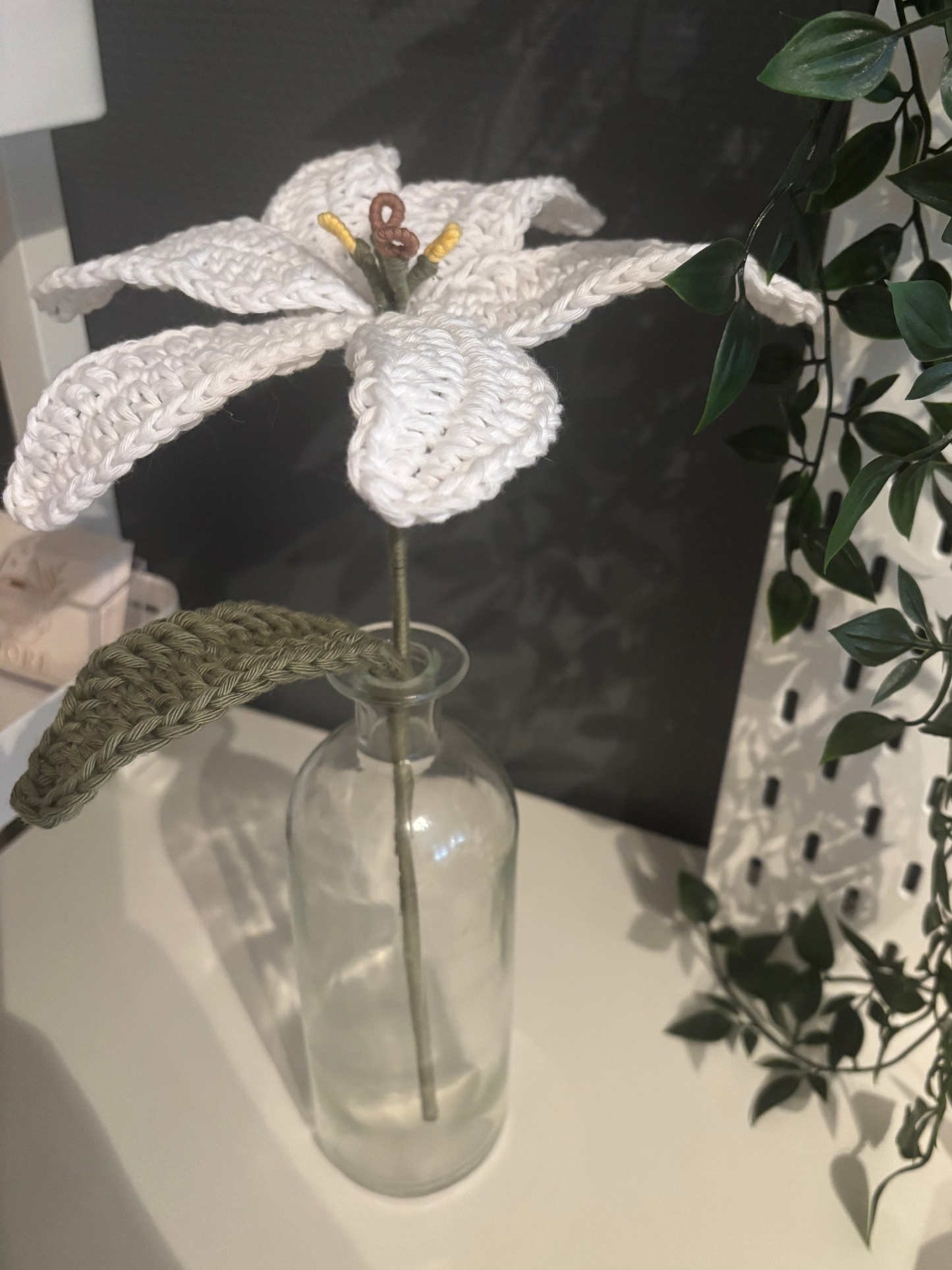 Lys éternelle