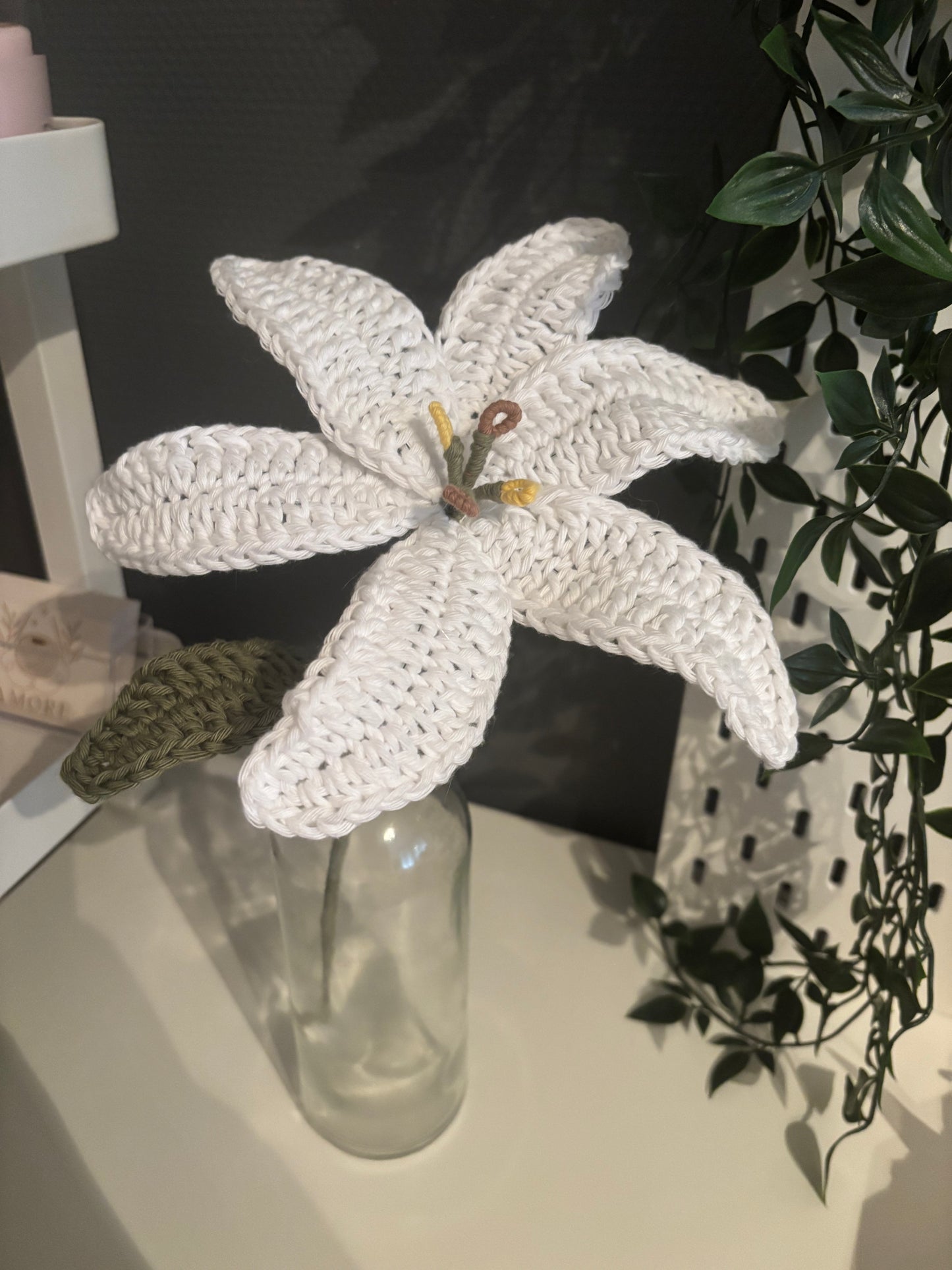 Lys éternelle